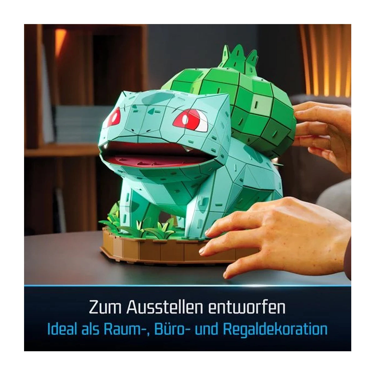 FDP Pokémon 4D Puzzle